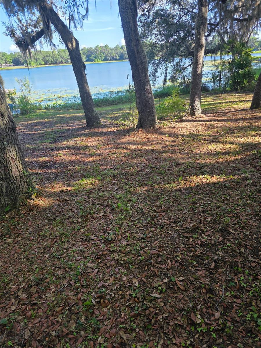 10655 NE 224TH PLACE RD, FORT MC COY, FL, 32134