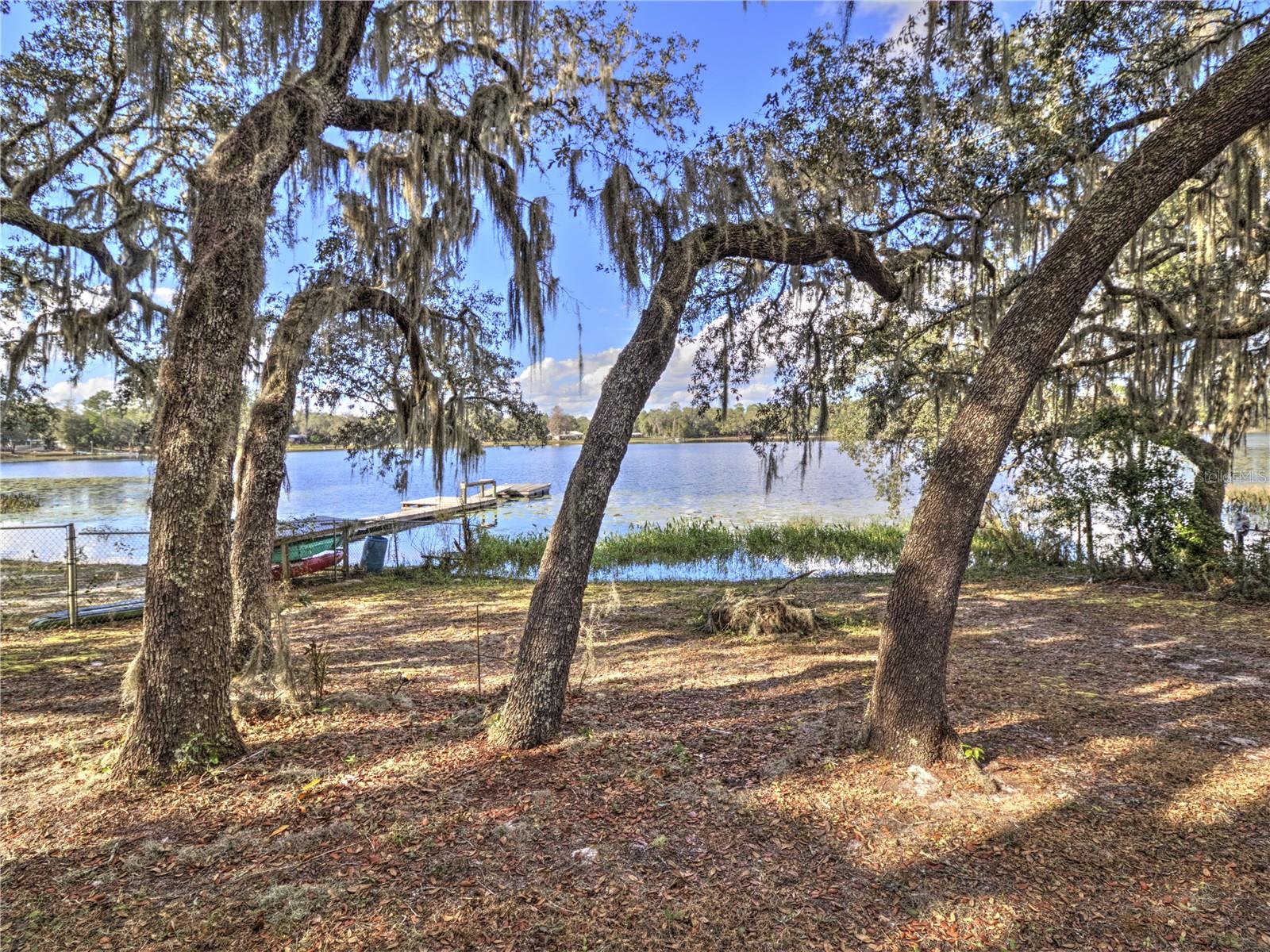10655 NE 224TH PLACE RD, FORT MC COY, FL, 32134