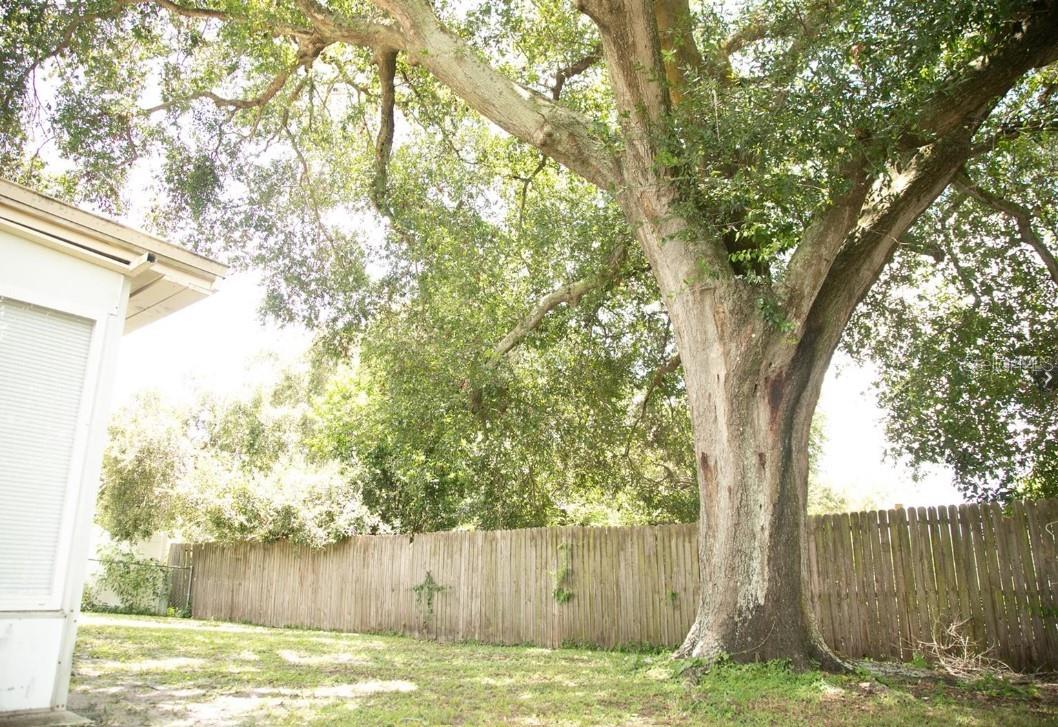 6741 WILLITS AVE, NEW PORT RICHEY, FL, 34655
