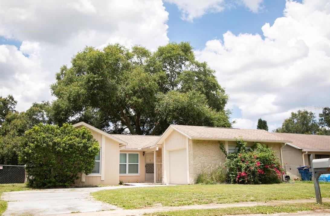 6741 WILLITS AVE, NEW PORT RICHEY, FL, 34655