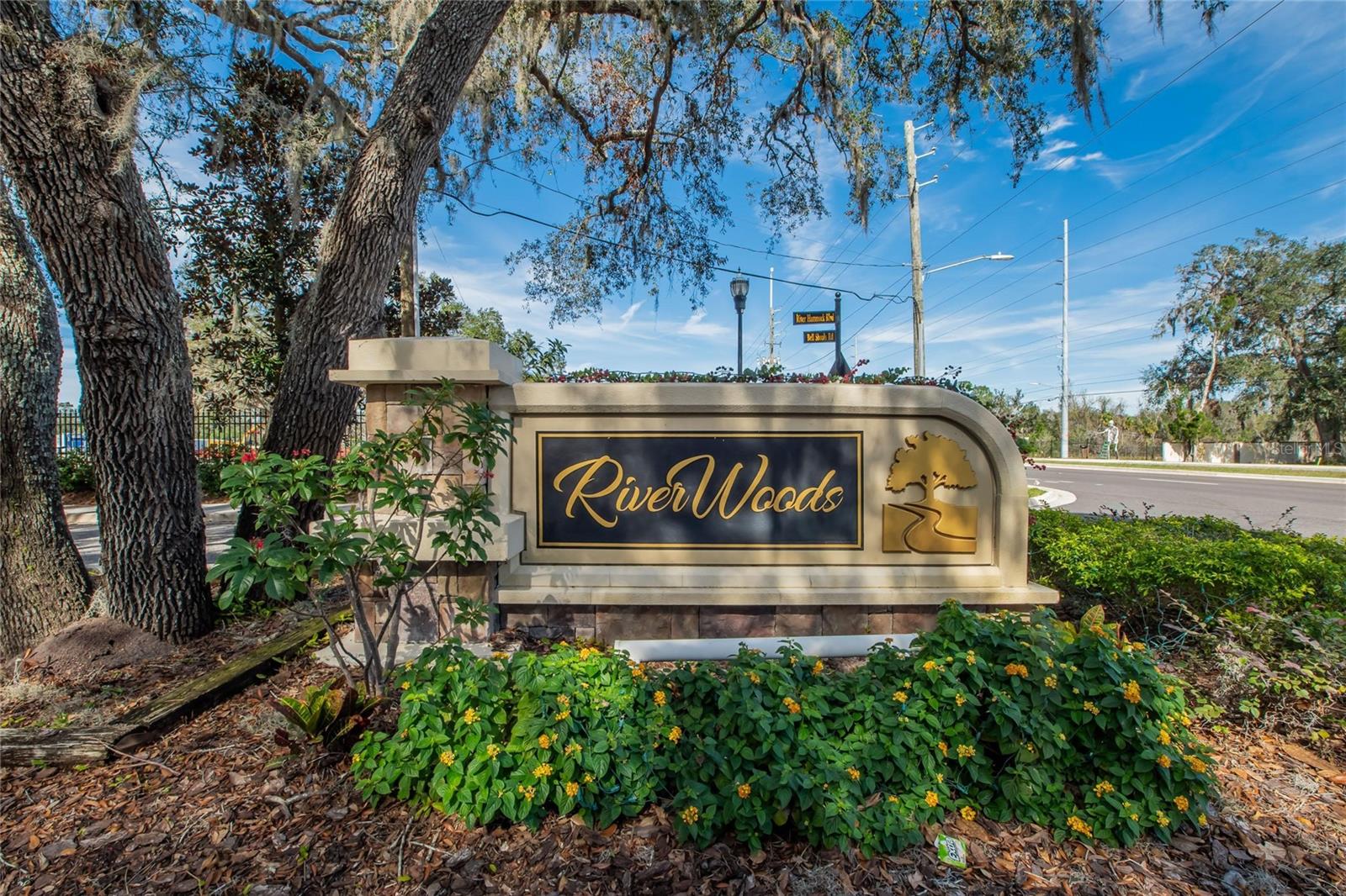 5006 TARI STREAM WAY, BRANDON, FL, 33511