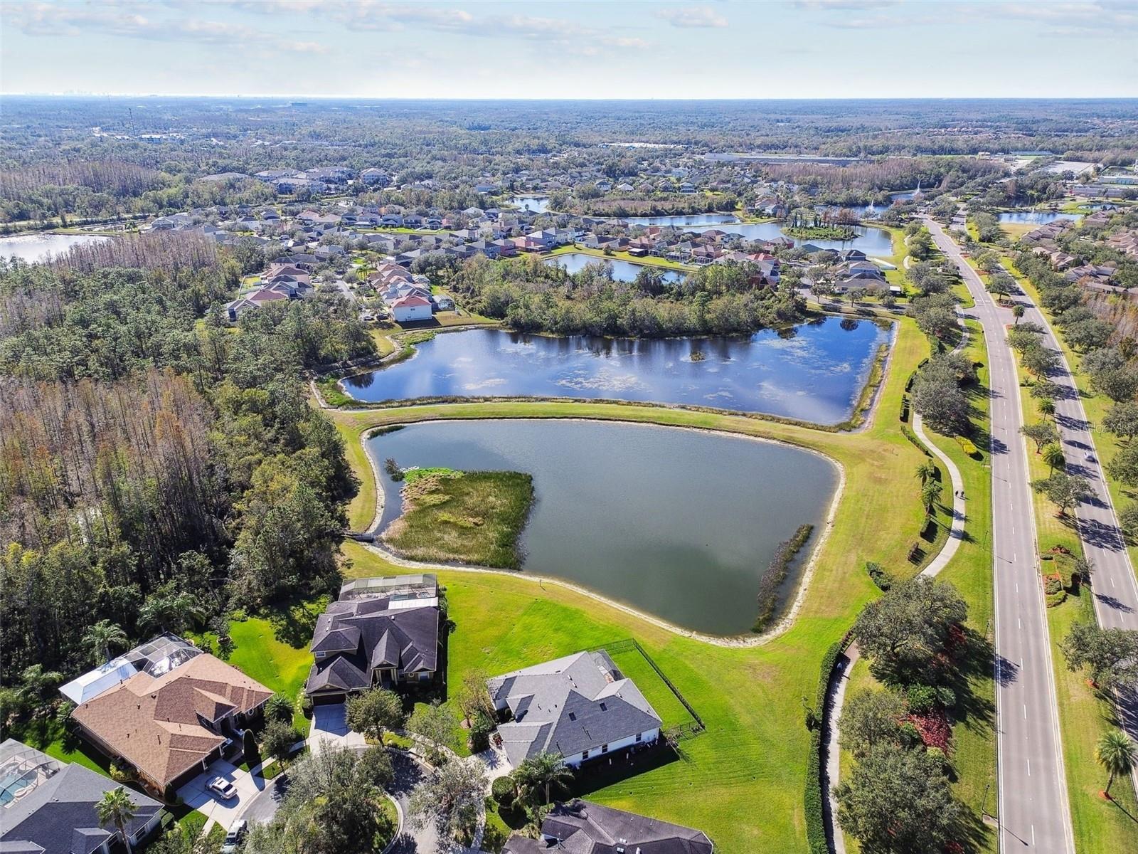 9202 EVERWOOD CT, TAMPA, FL, 33647