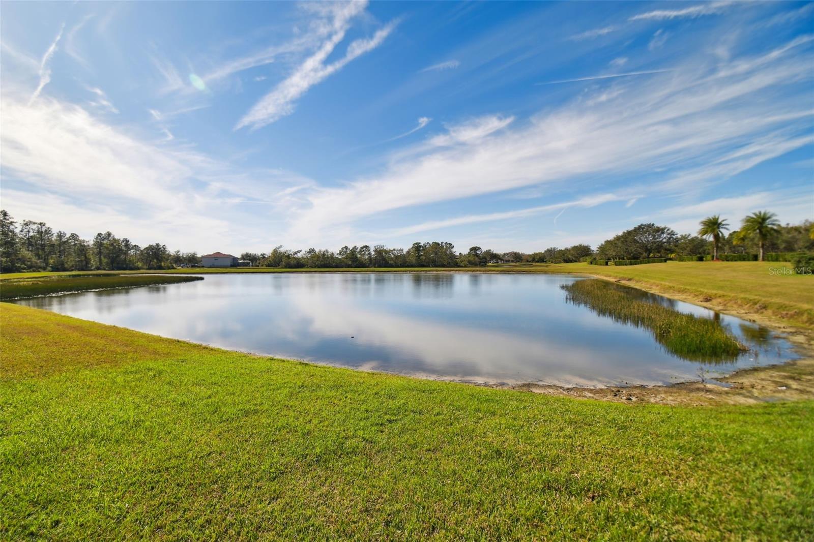 9202 EVERWOOD CT, TAMPA, FL, 33647