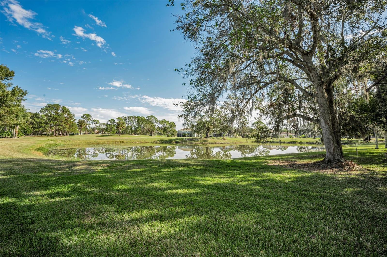 16317 COLWOOD DR, ODESSA, FL, 33556