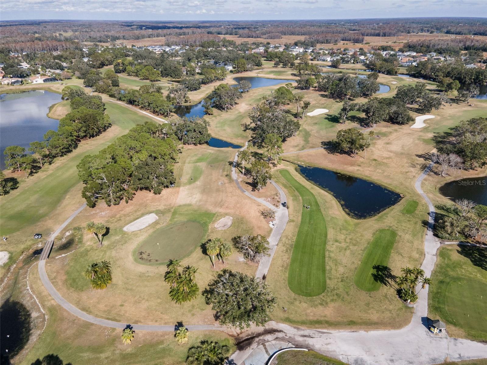 16317 COLWOOD DR, ODESSA, FL, 33556
