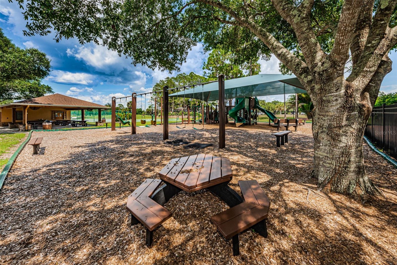 16317 COLWOOD DR, ODESSA, FL, 33556