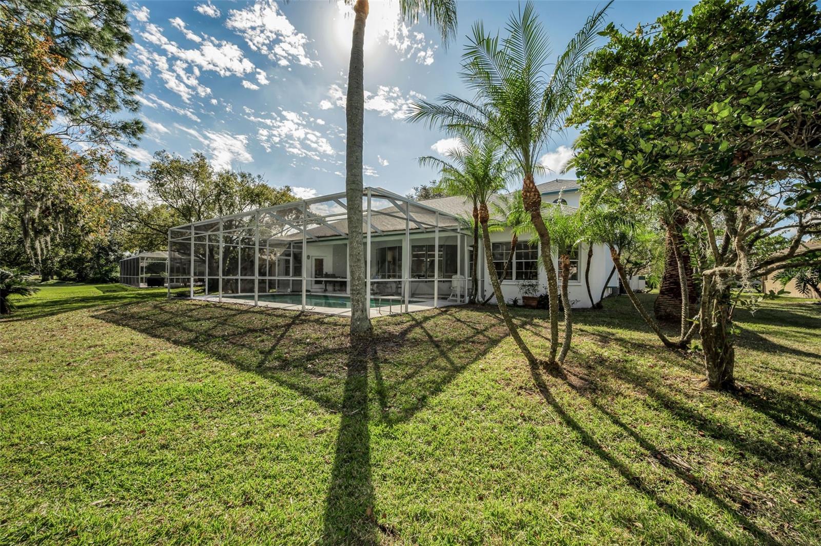 16317 COLWOOD DR, ODESSA, FL, 33556