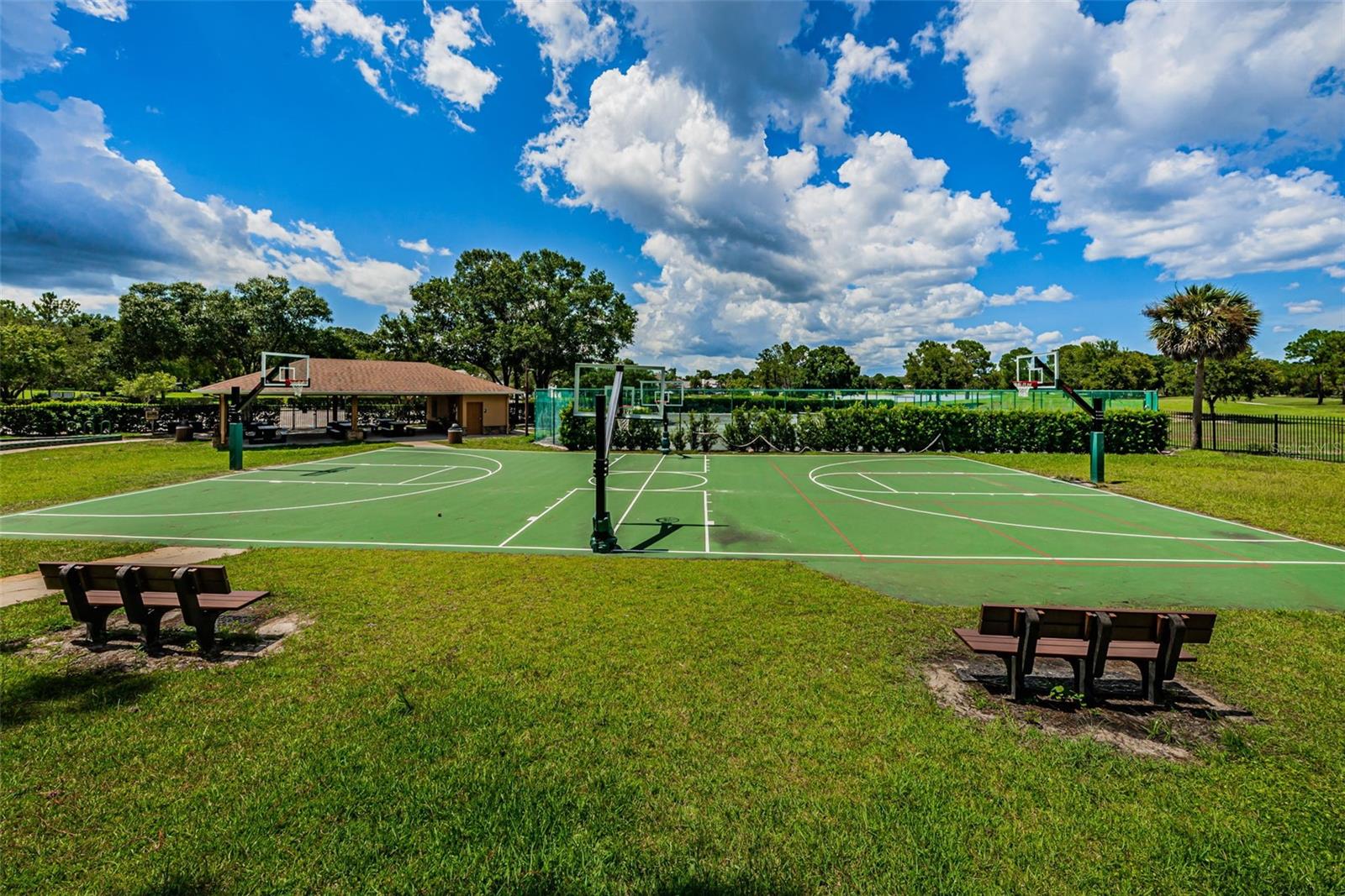 16317 COLWOOD DR, ODESSA, FL, 33556