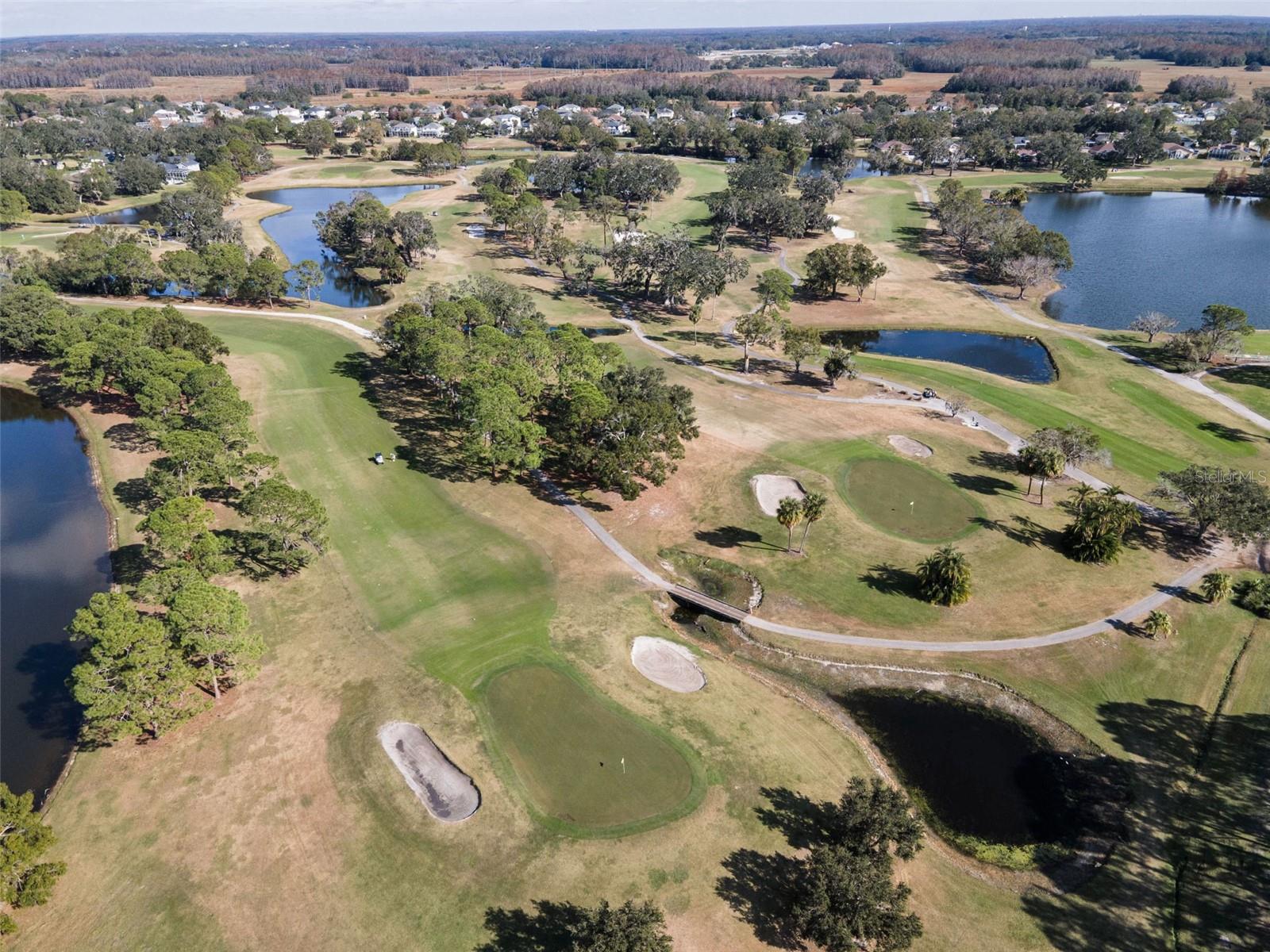 16317 COLWOOD DR, ODESSA, FL, 33556