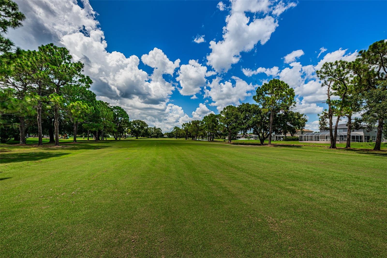 16317 COLWOOD DR, ODESSA, FL, 33556