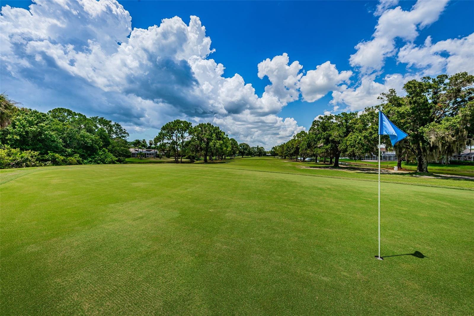 16317 COLWOOD DR, ODESSA, FL, 33556