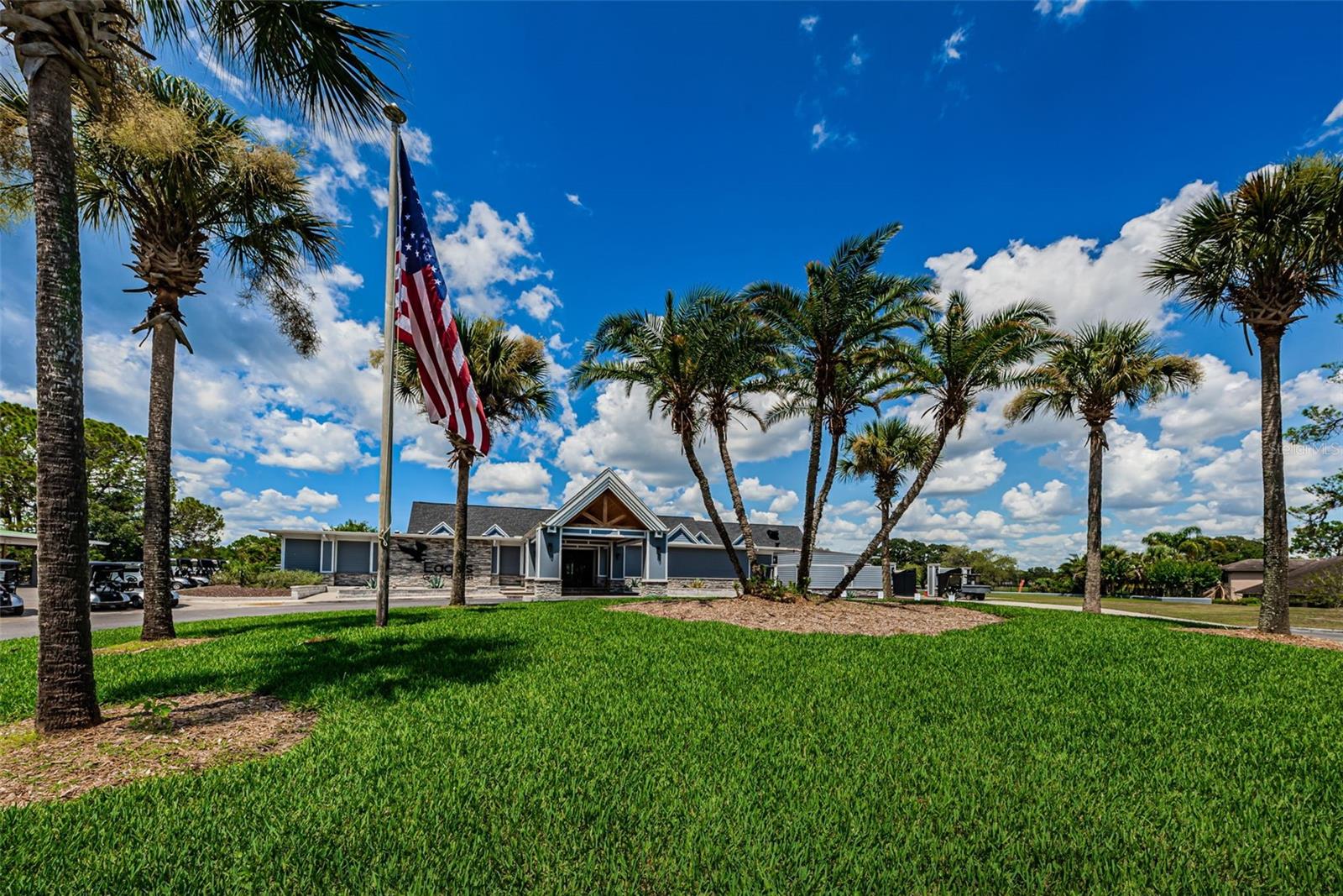 16317 COLWOOD DR, ODESSA, FL, 33556