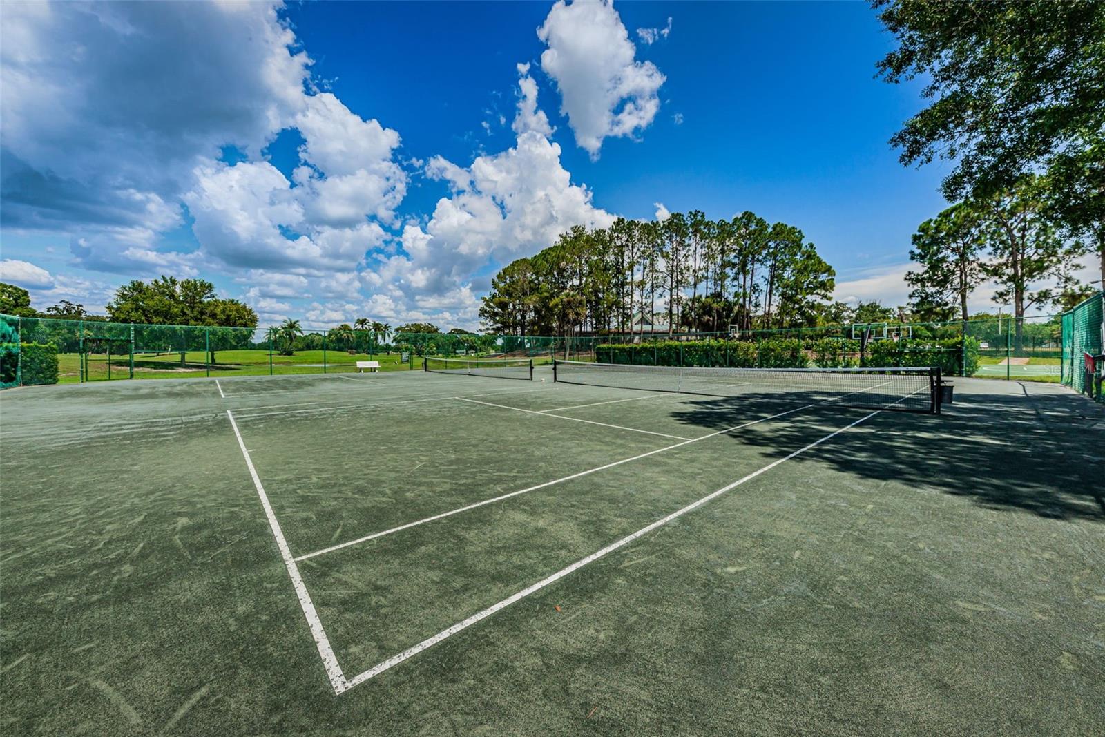 16317 COLWOOD DR, ODESSA, FL, 33556