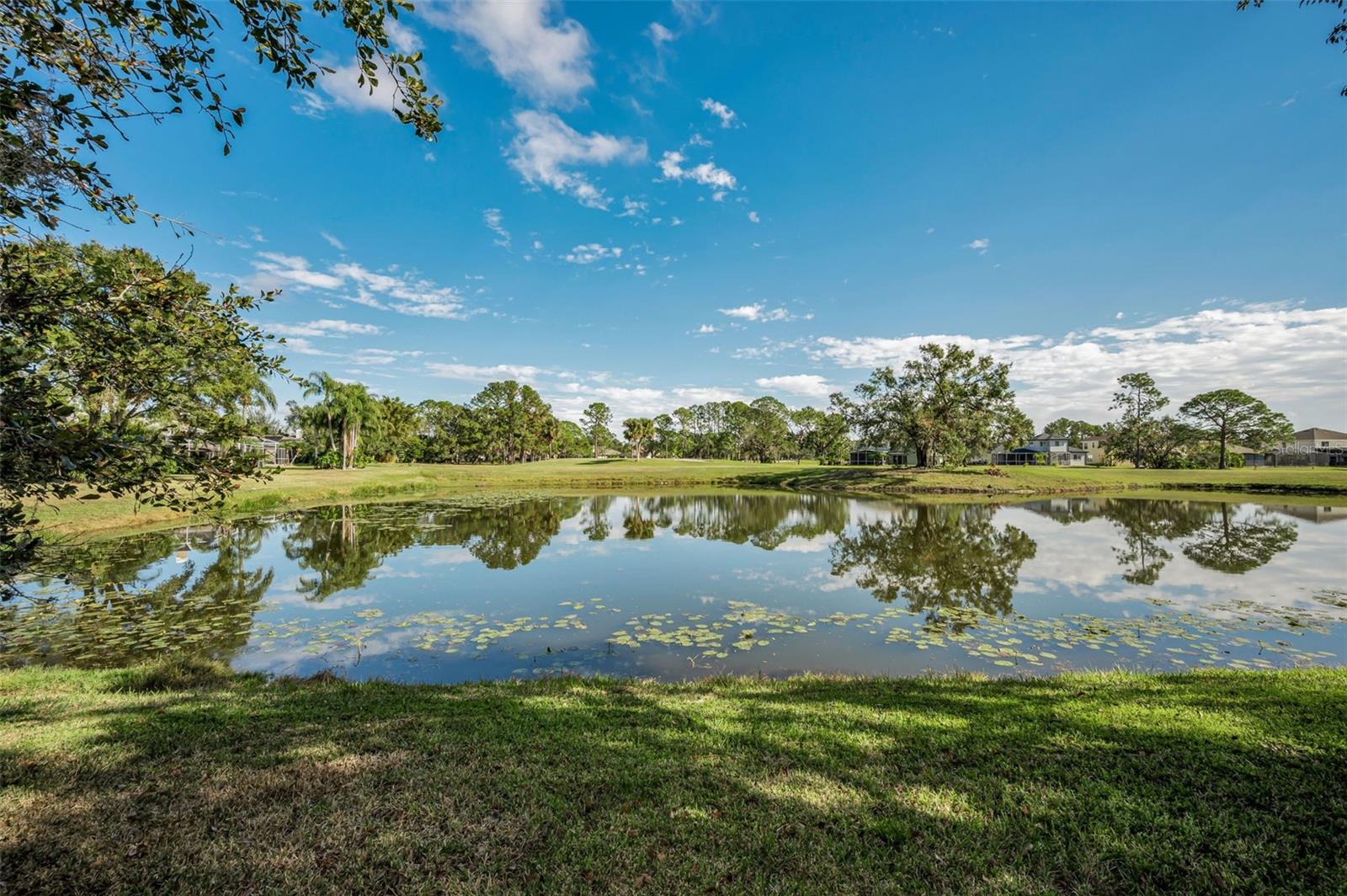 16317 COLWOOD DR, ODESSA, FL, 33556