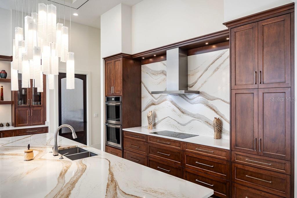 9903 MENANDER WOOD CT, ODESSA, FL, 33556