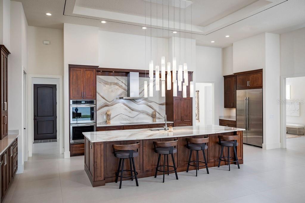 9903 MENANDER WOOD CT, ODESSA, FL, 33556