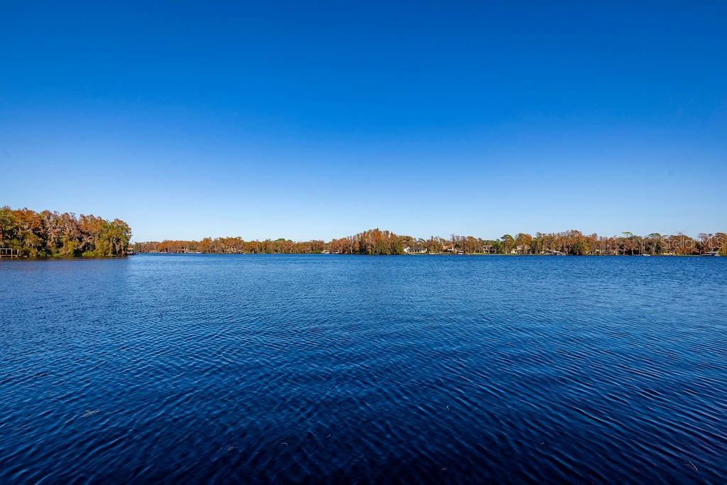 9903 MENANDER WOOD CT, ODESSA, FL, 33556