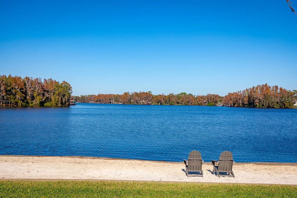 9903 MENANDER WOOD CT, ODESSA, FL, 33556
