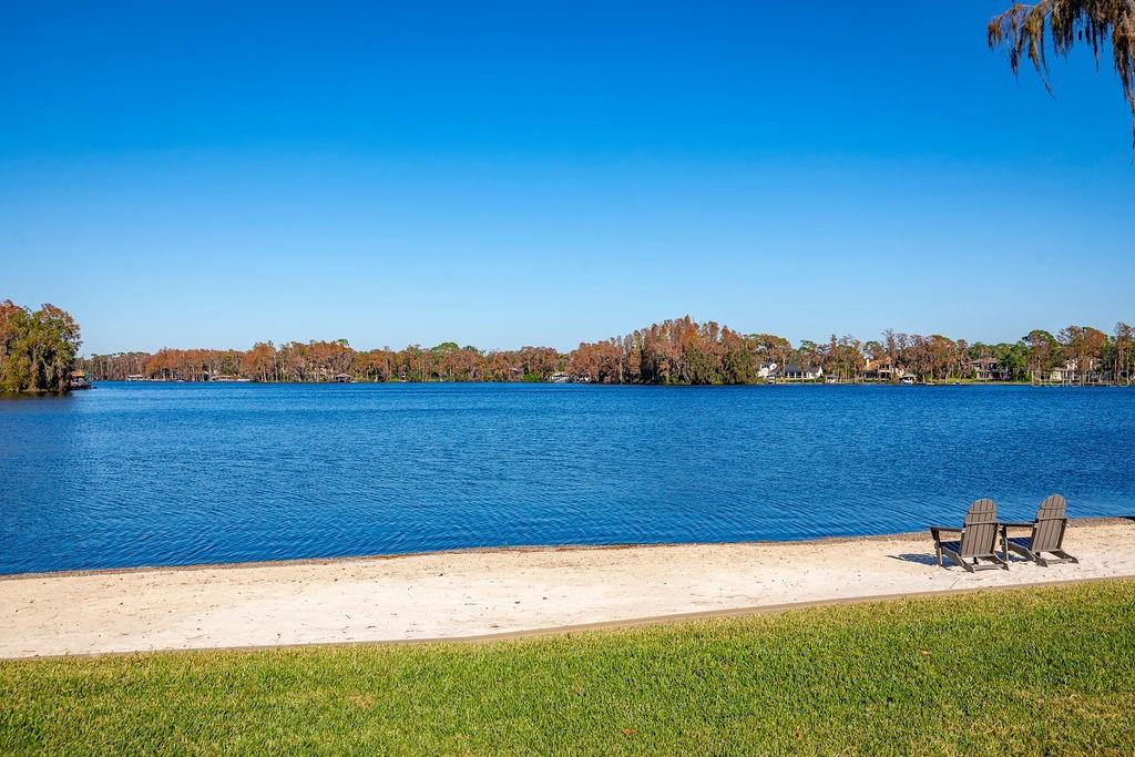 9903 MENANDER WOOD CT, ODESSA, FL, 33556