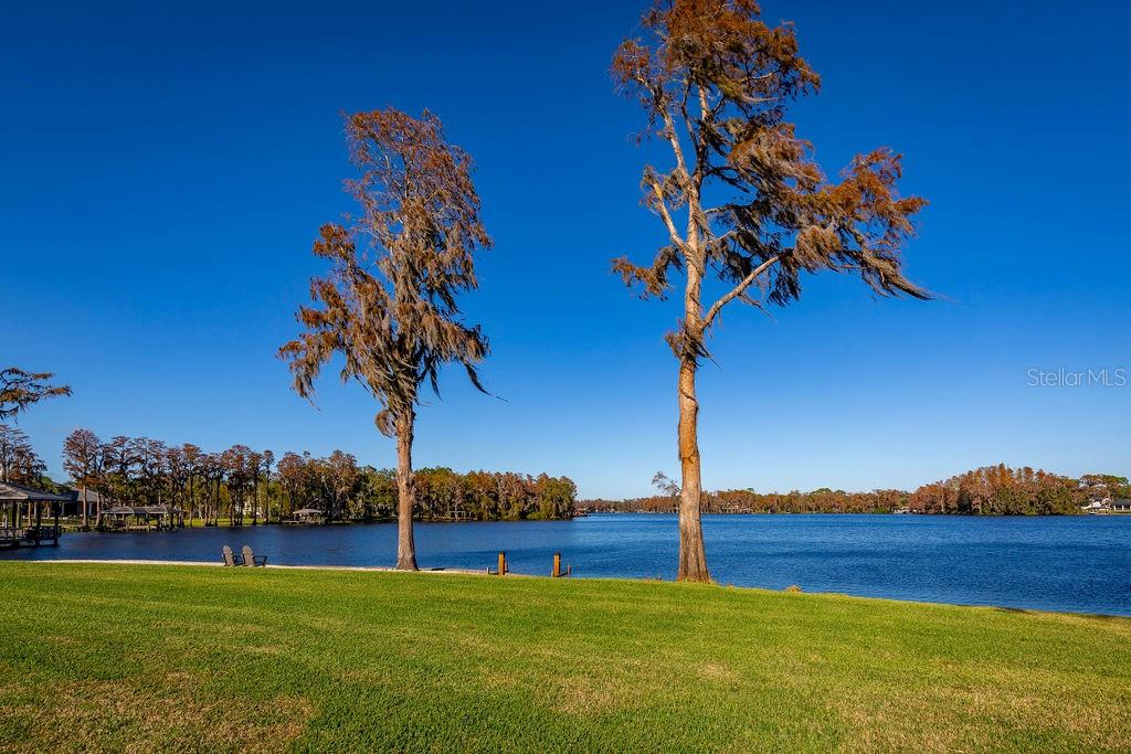 9903 MENANDER WOOD CT, ODESSA, FL, 33556