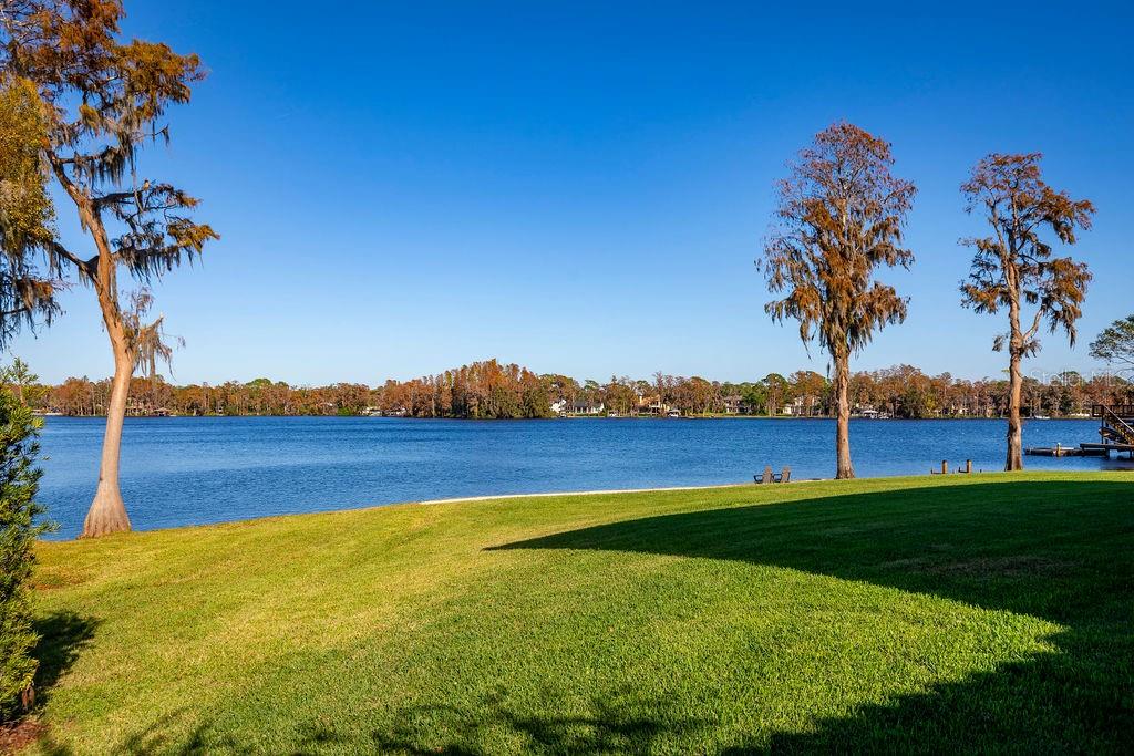 9903 MENANDER WOOD CT, ODESSA, FL, 33556