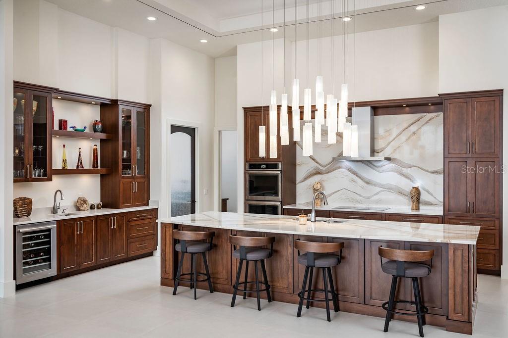 9903 MENANDER WOOD CT, ODESSA, FL, 33556