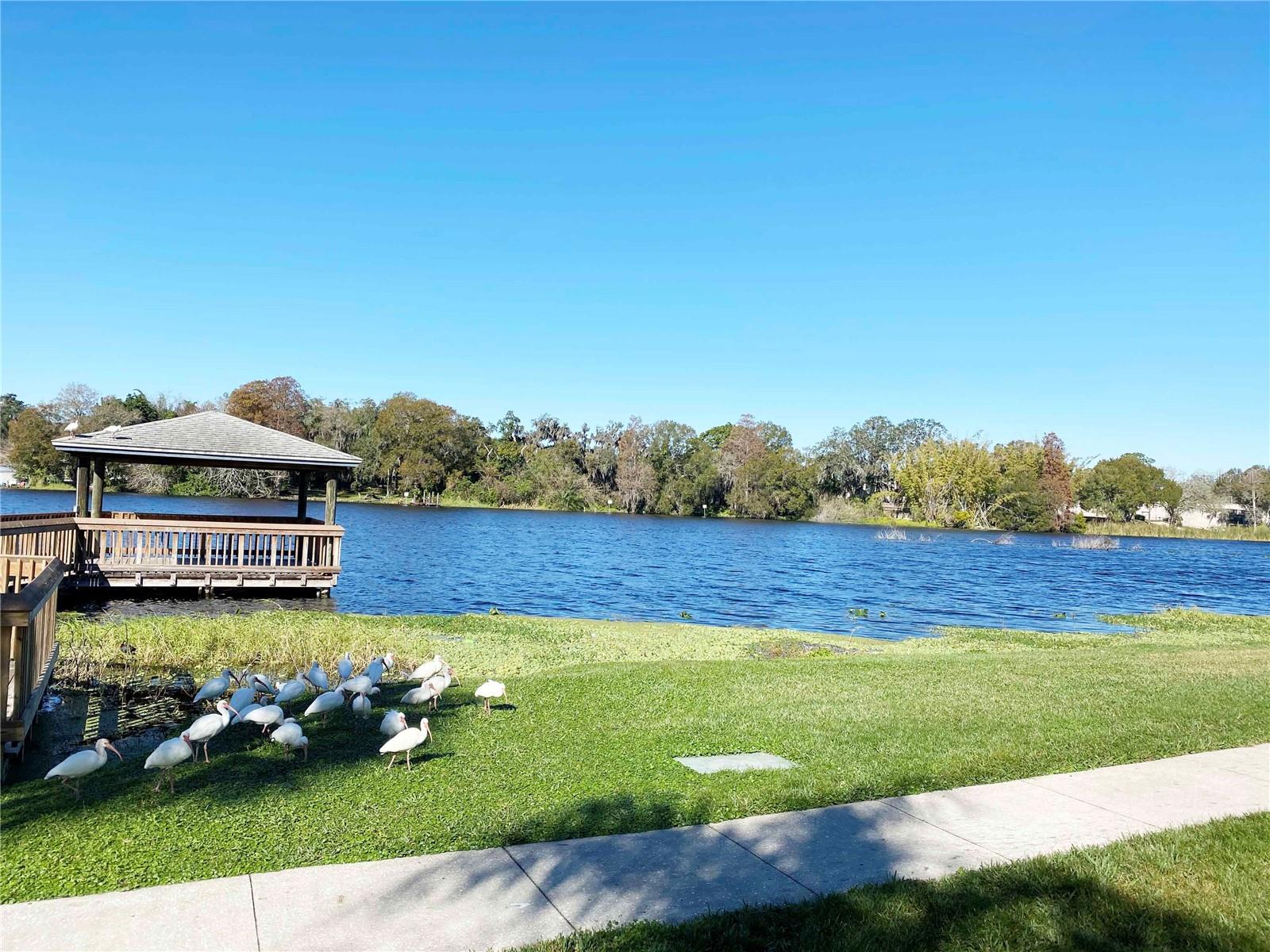 7181 E BANK DR #103, TAMPA, FL, 33617