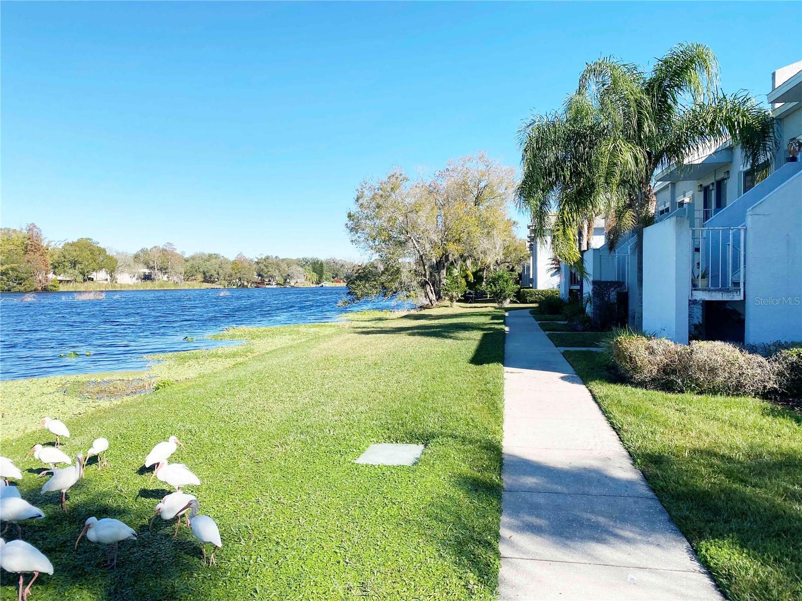 7181 E BANK DR #103, TAMPA, FL, 33617