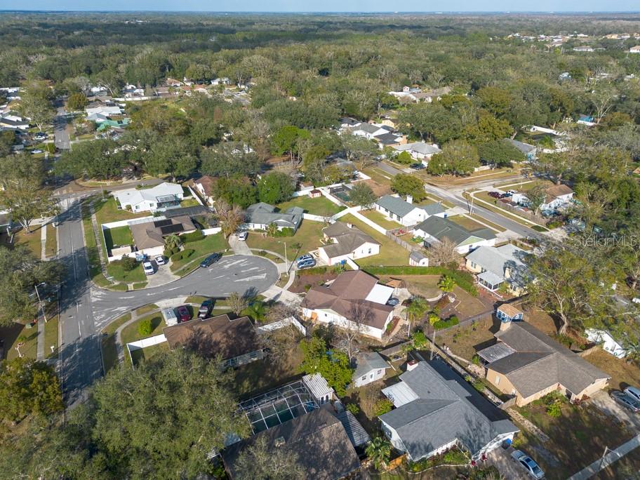 2203 TAIL FEATHER CT, LUTZ, FL, 33549