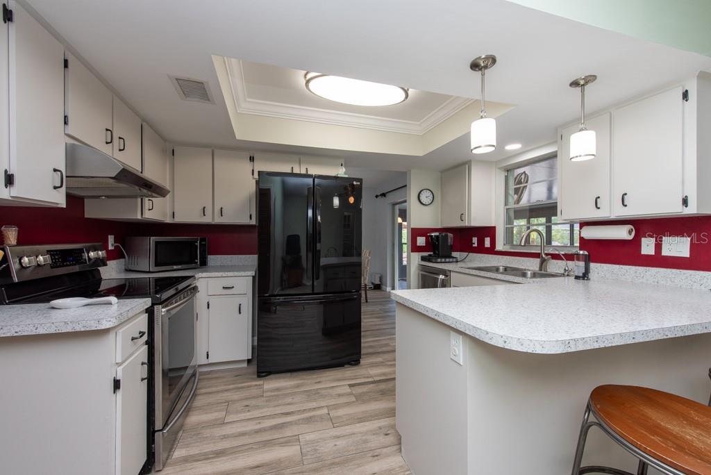 2203 TAIL FEATHER CT, LUTZ, FL, 33549