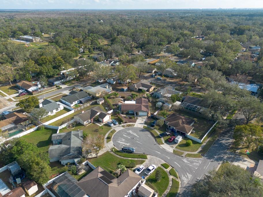 2203 TAIL FEATHER CT, LUTZ, FL, 33549
