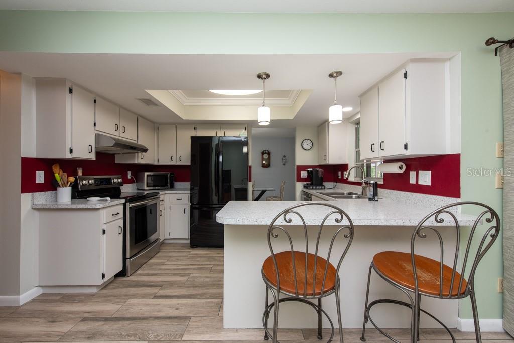 2203 TAIL FEATHER CT, LUTZ, FL, 33549