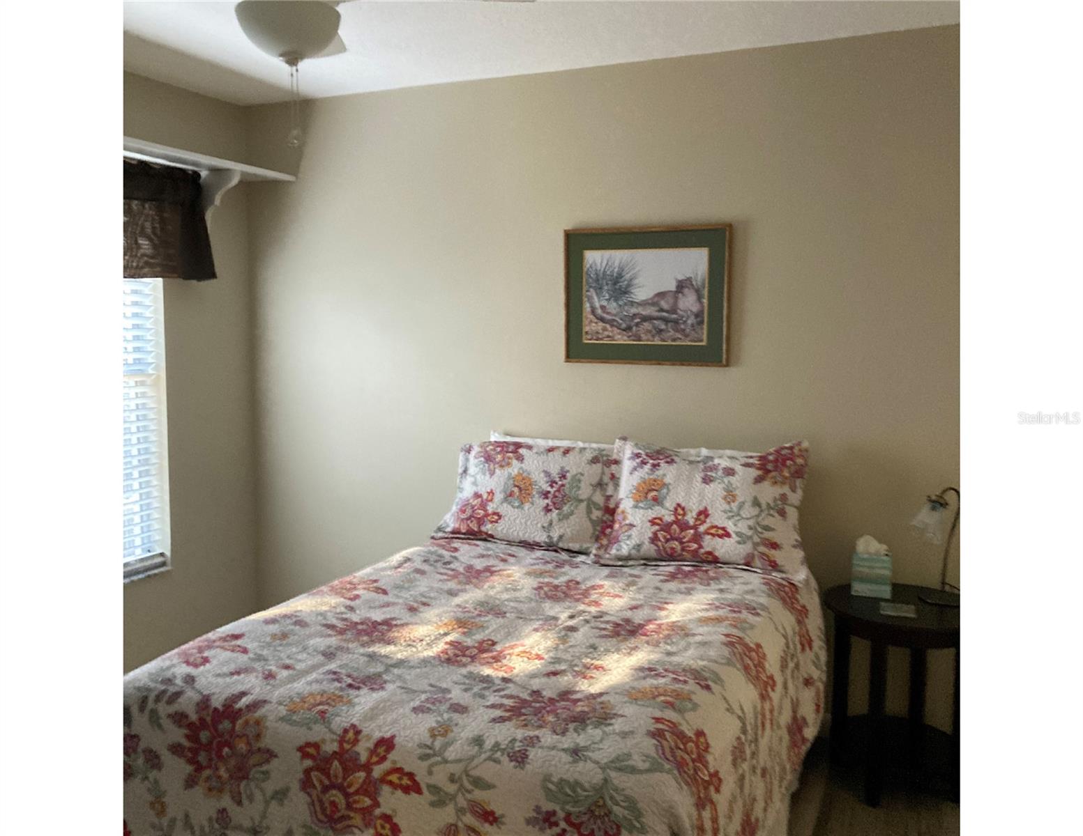 2203 TAIL FEATHER CT, LUTZ, FL, 33549
