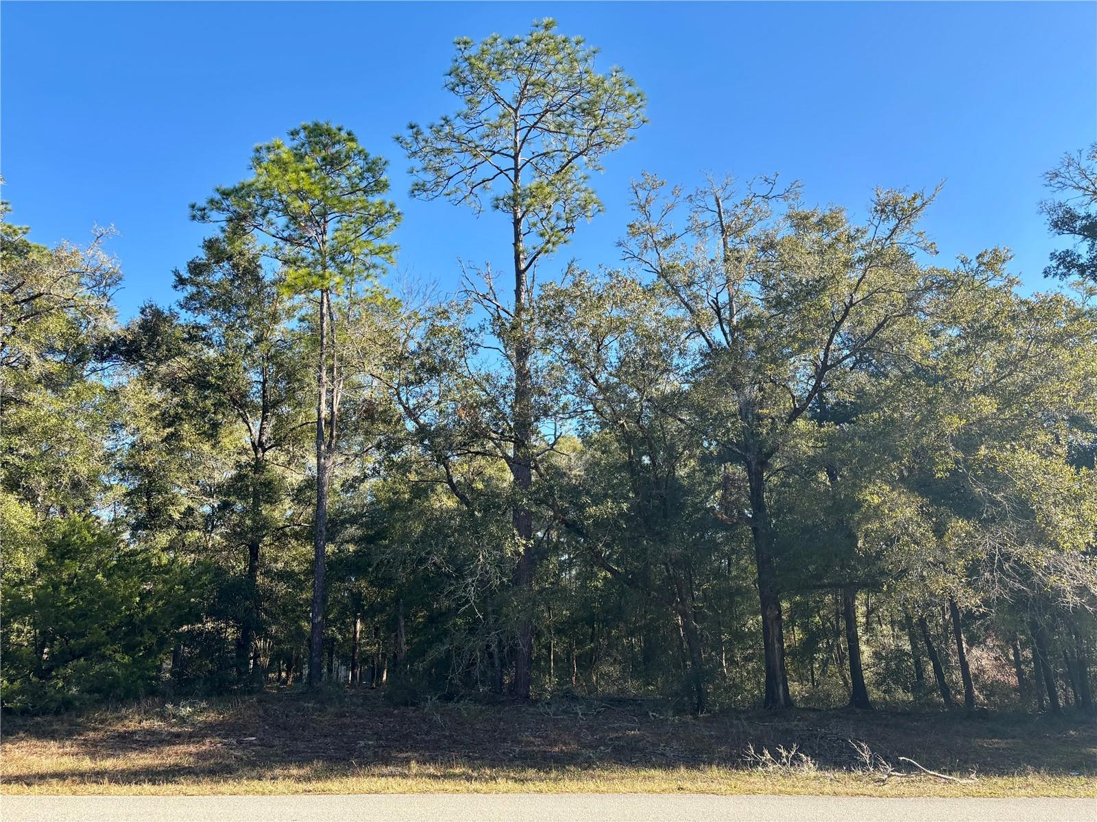 Lot 23 SW 102 STREET RD, DUNNELLON, FL, 34431