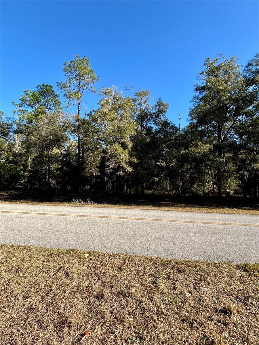 Lot 23 SW 102 STREET RD, DUNNELLON, FL, 34431