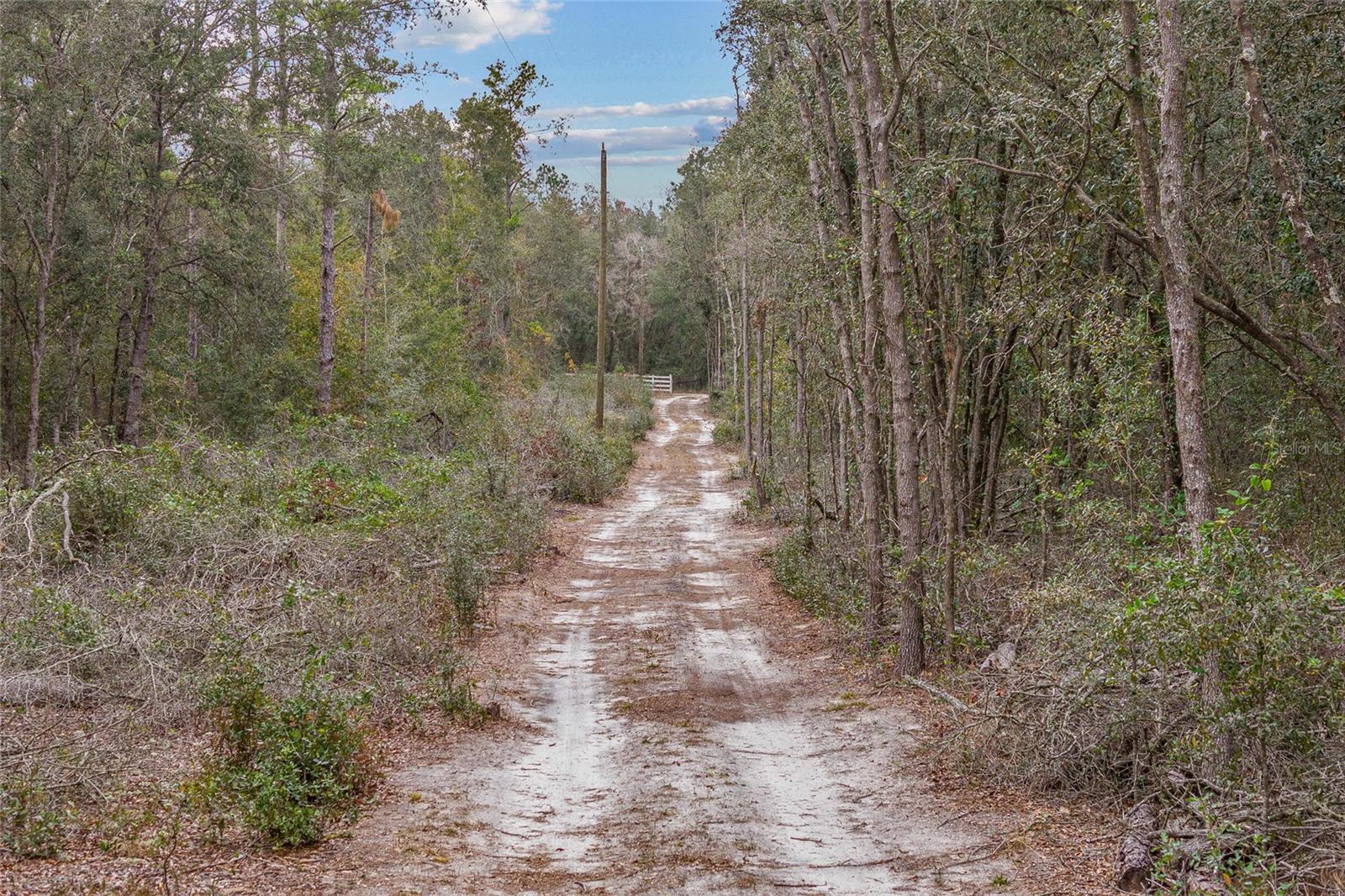 25515 SW 67TH AVE, NEWBERRY, FL, 32669