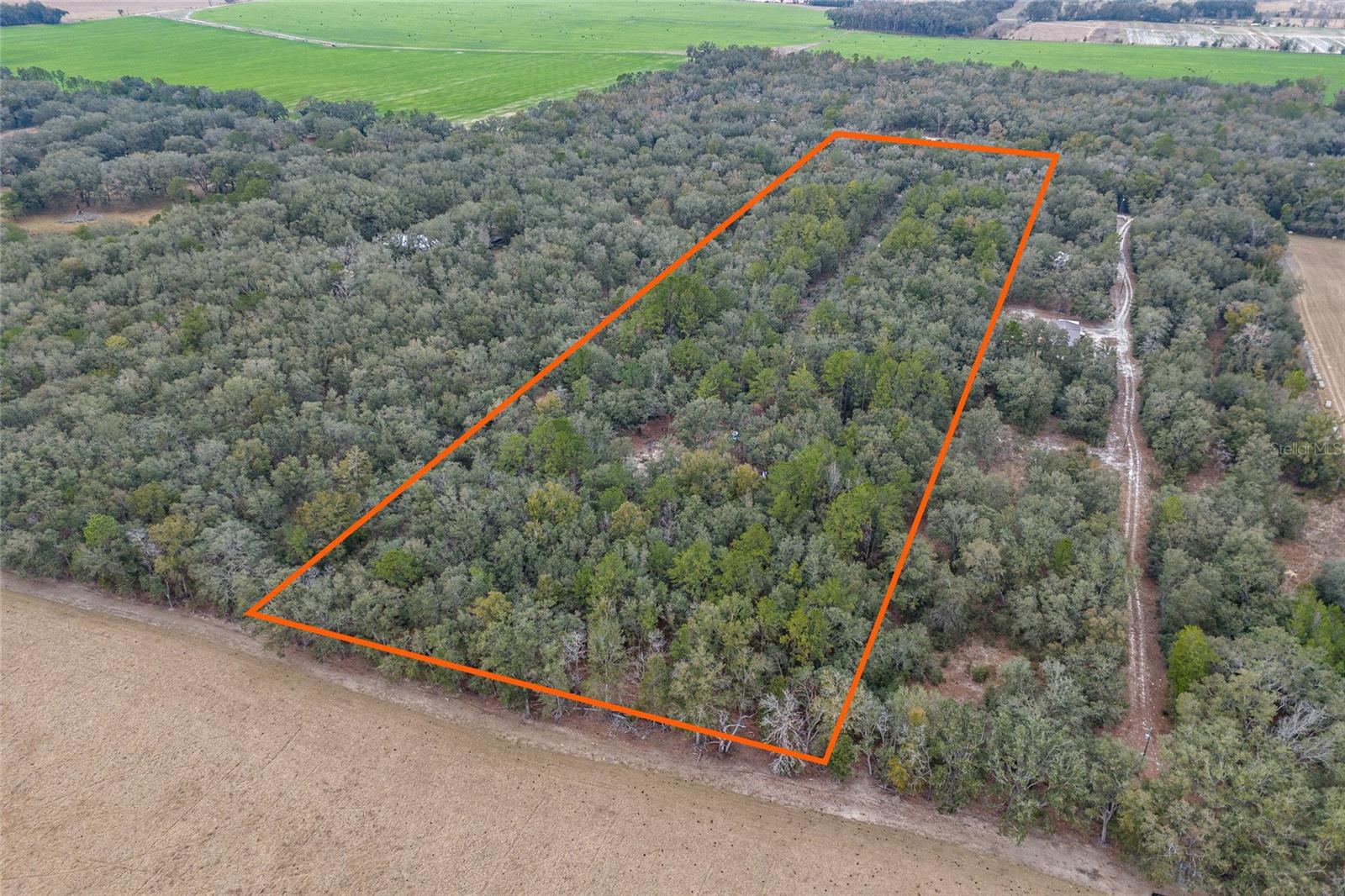 25515 SW 67TH AVE, NEWBERRY, FL, 32669