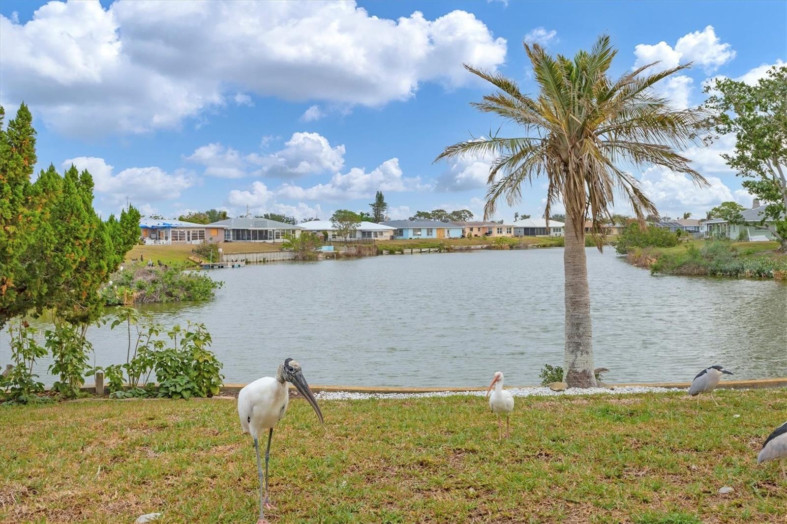 2271 SANDLEWOOD DR, VENICE, FL, 34293