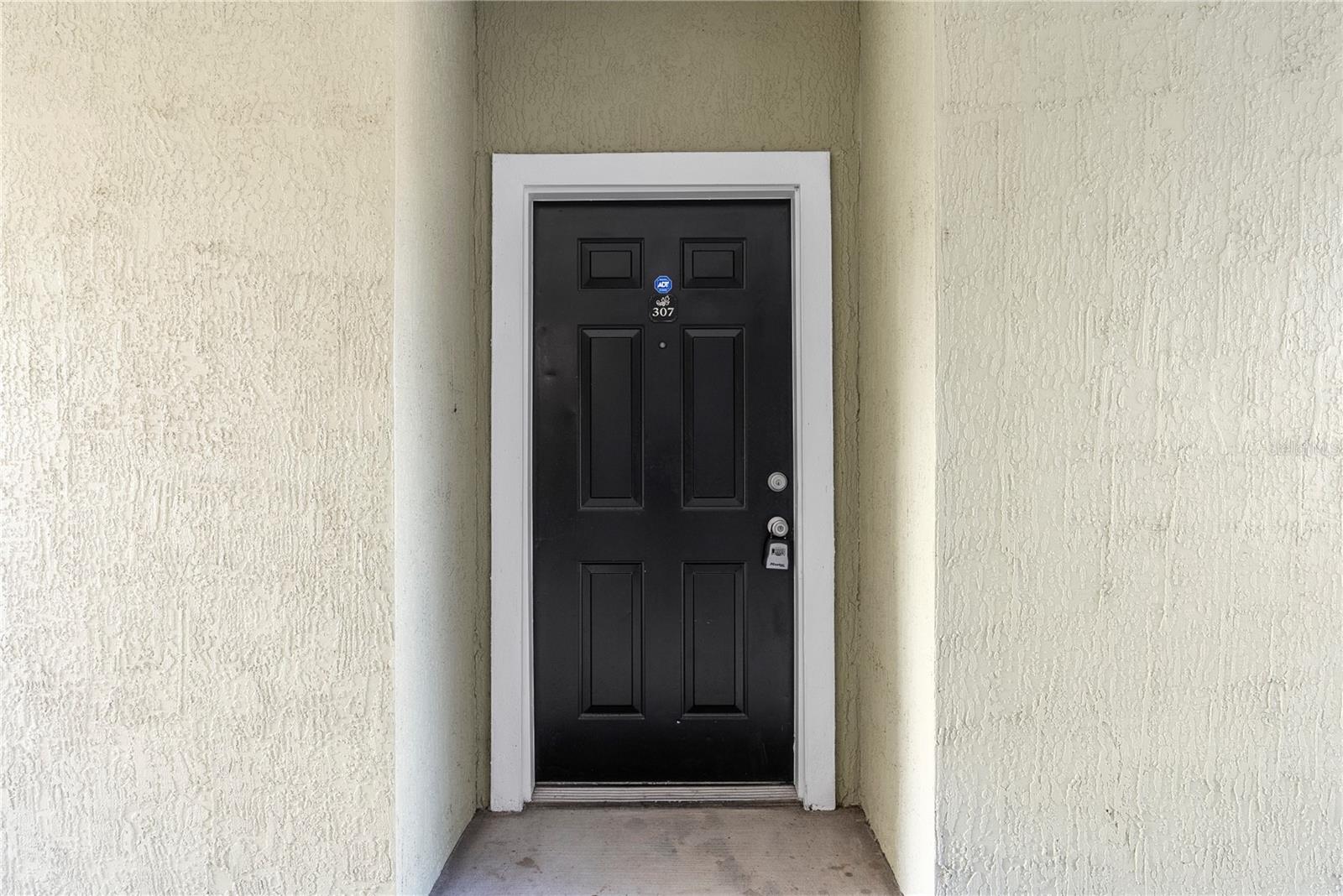 3344 CORONA VILLAGE WAY #307, ORLANDO, FL, 32835