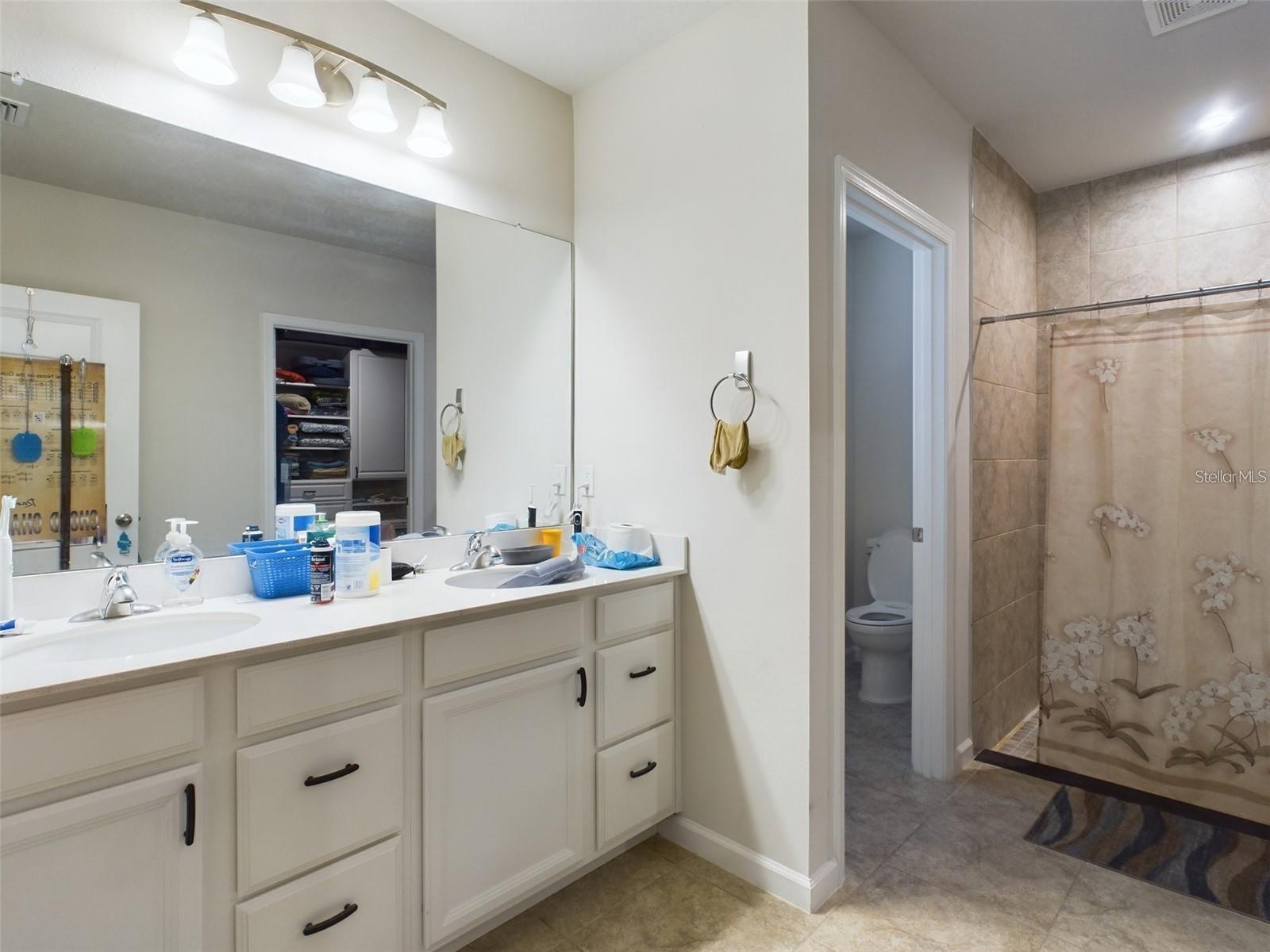 18292 HUNTERS MEADOW WALK, LAND O LAKES, FL, 34638