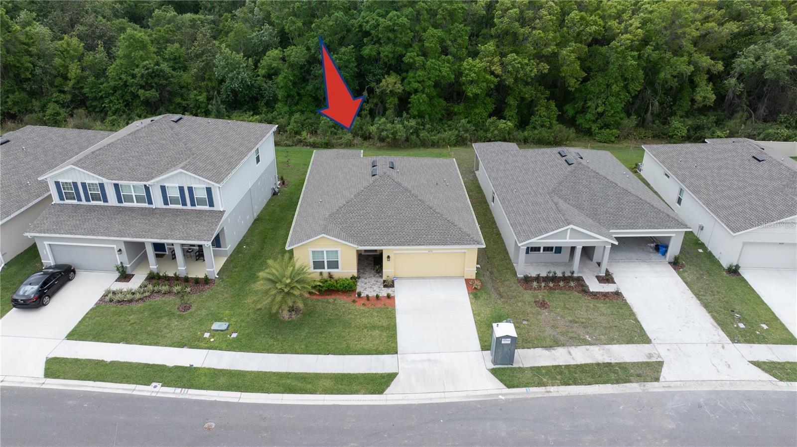 18292 HUNTERS MEADOW WALK, LAND O LAKES, FL, 34638