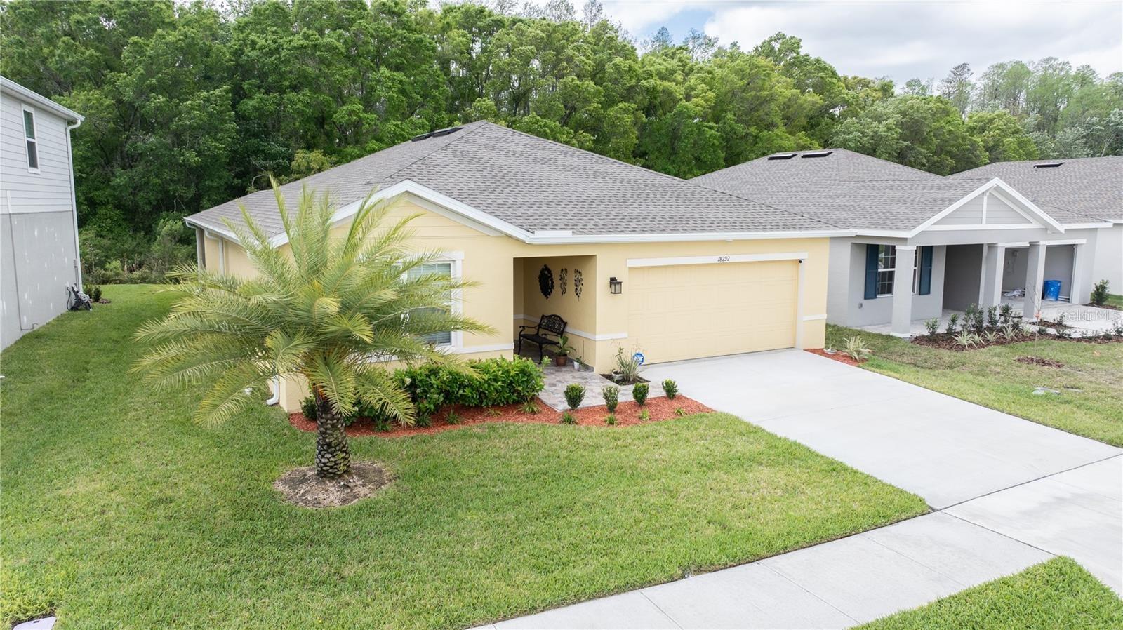 18292 HUNTERS MEADOW WALK, LAND O LAKES, FL, 34638