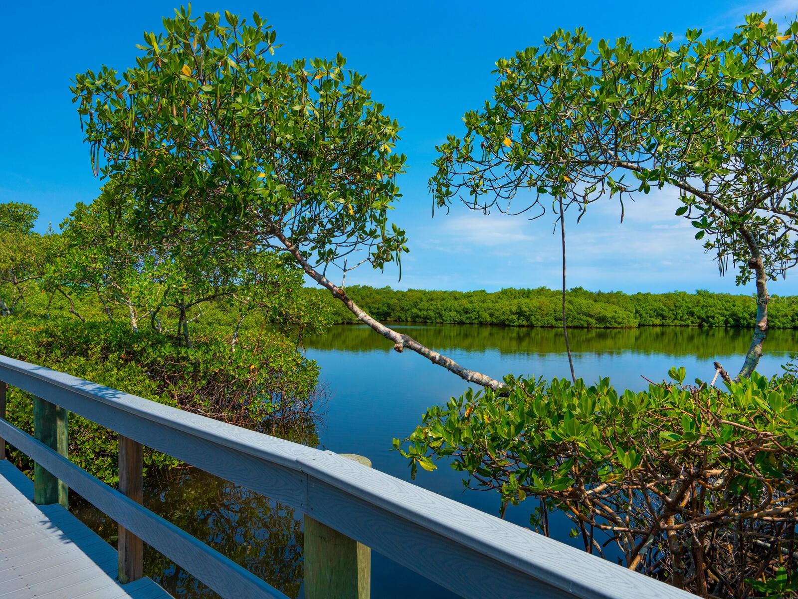 1701 STARLING DR, SARASOTA, FL, 34231