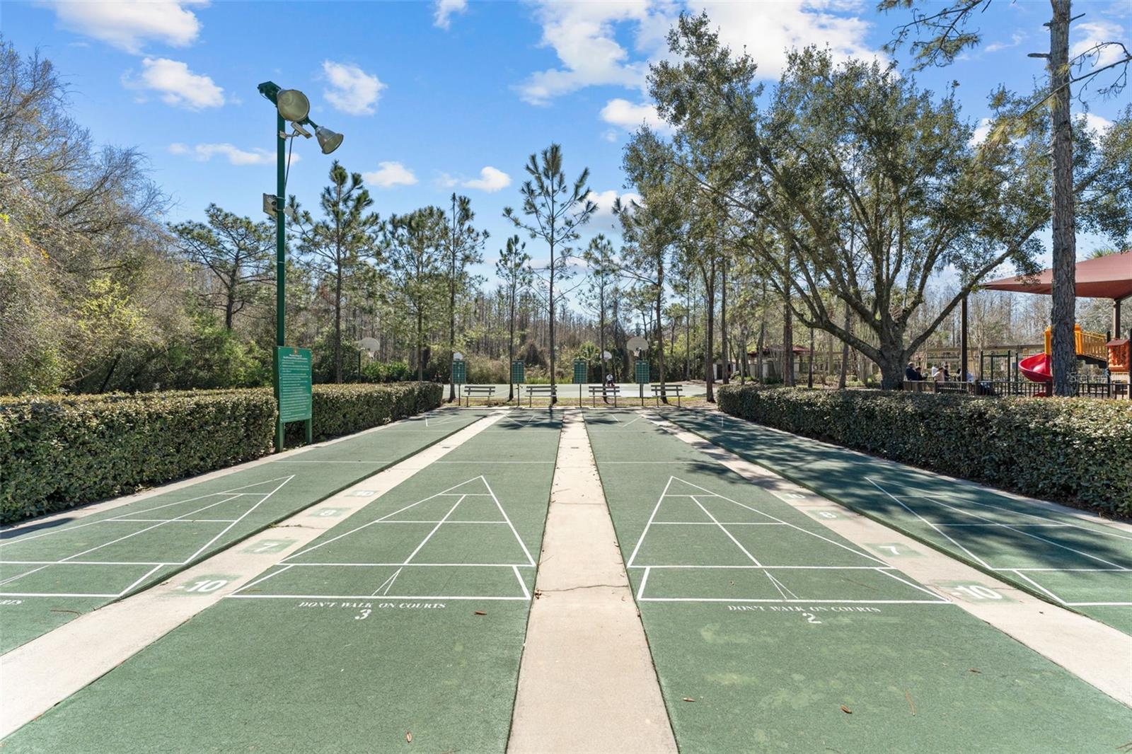 18108 DIAMOND COVE CT, TAMPA, FL, 33647