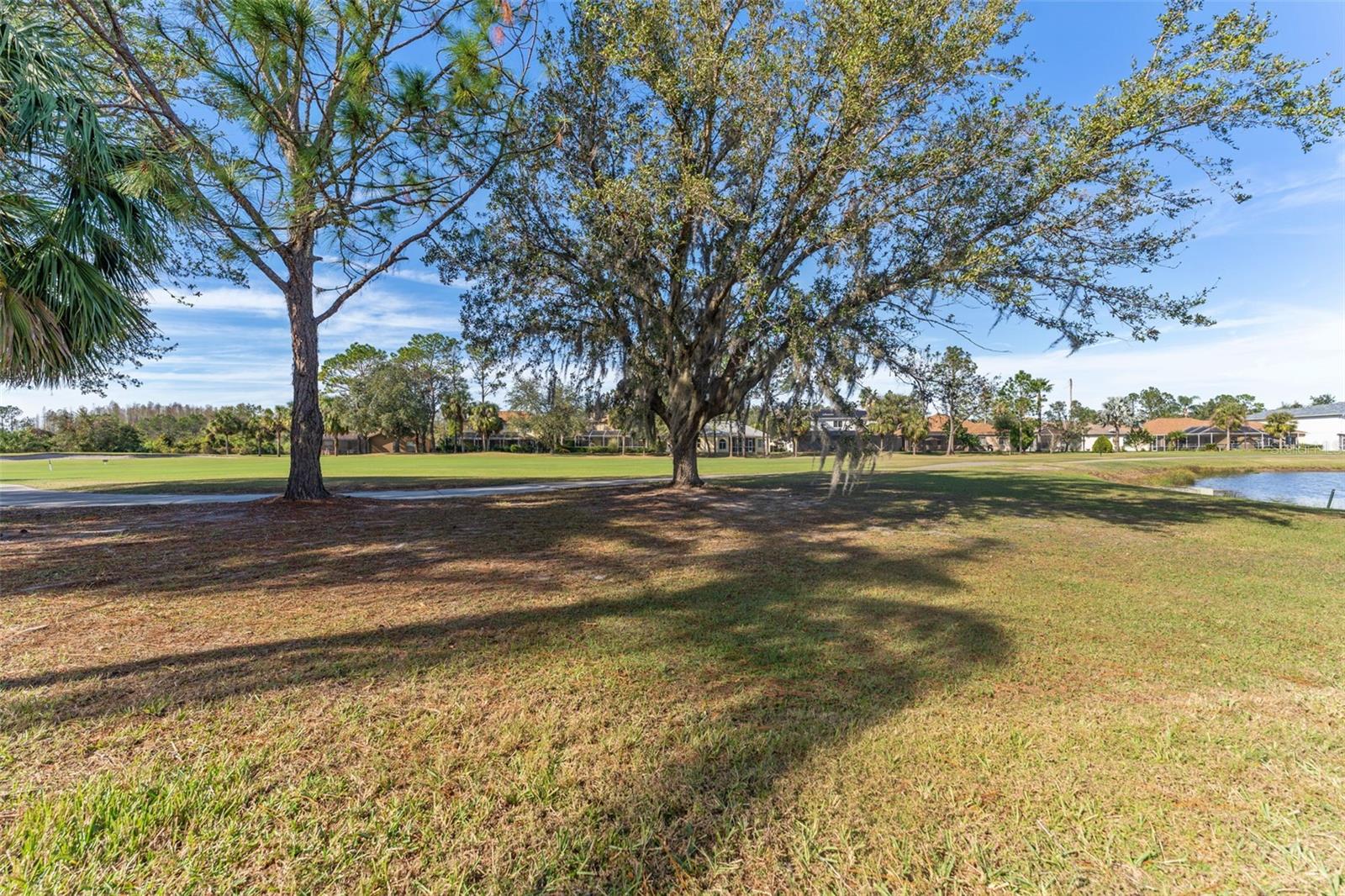 18108 DIAMOND COVE CT, TAMPA, FL, 33647
