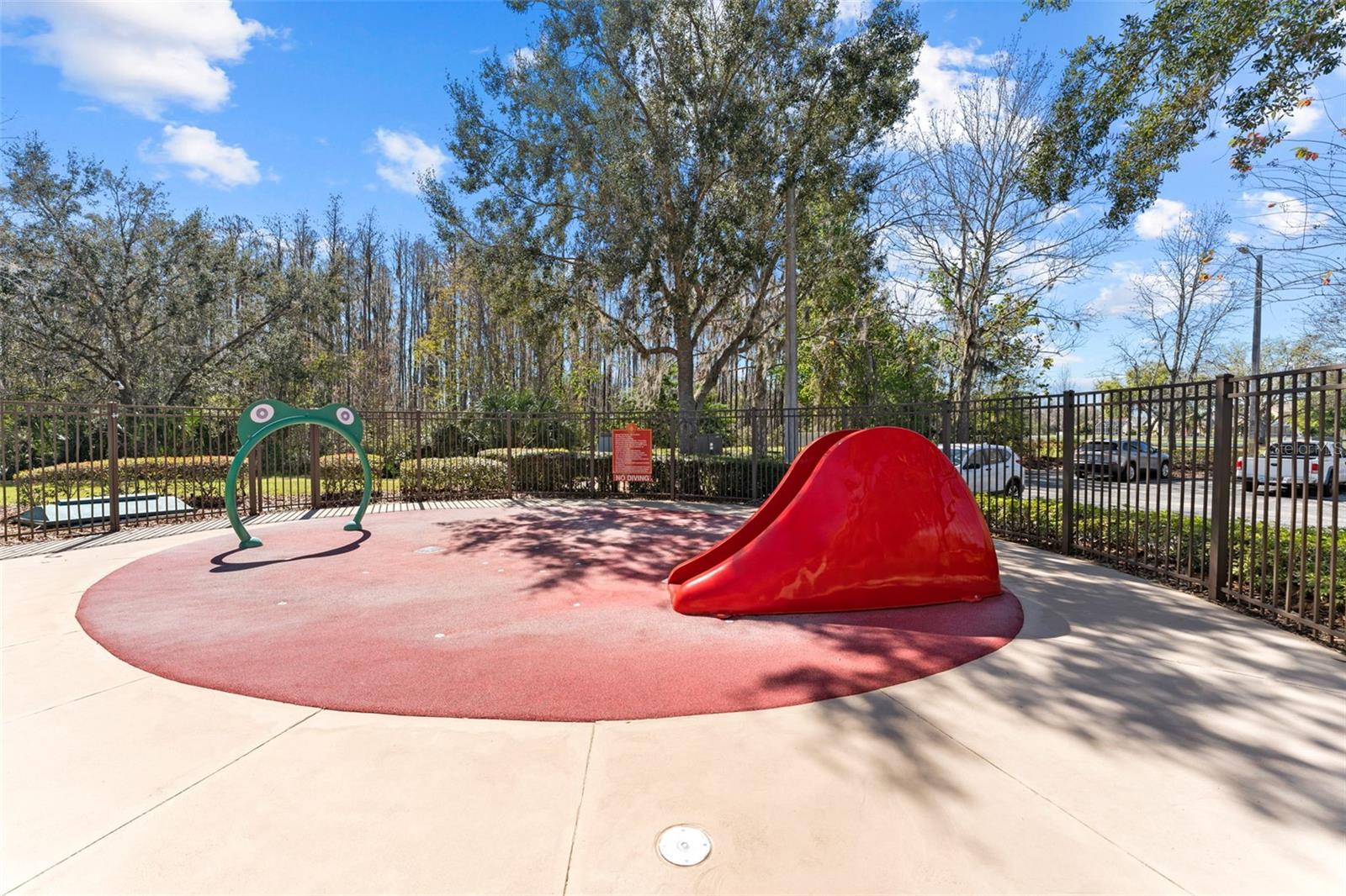 18108 DIAMOND COVE CT, TAMPA, FL, 33647