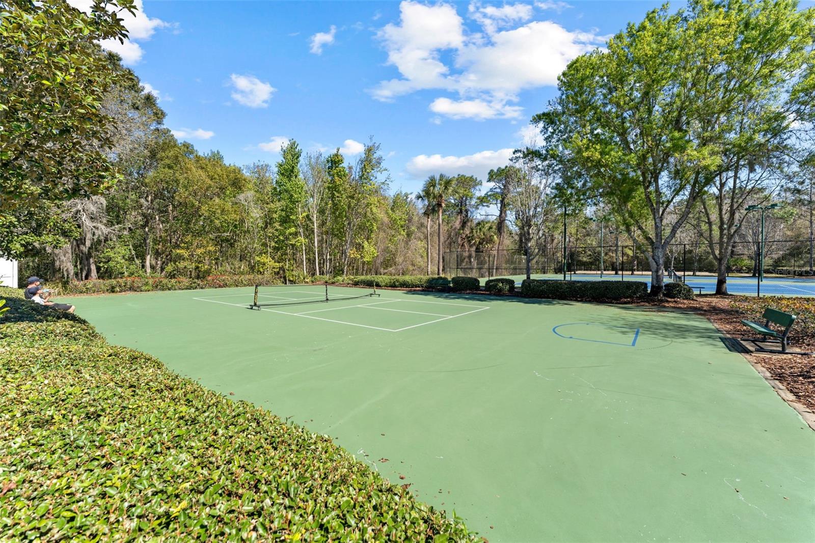 18108 DIAMOND COVE CT, TAMPA, FL, 33647
