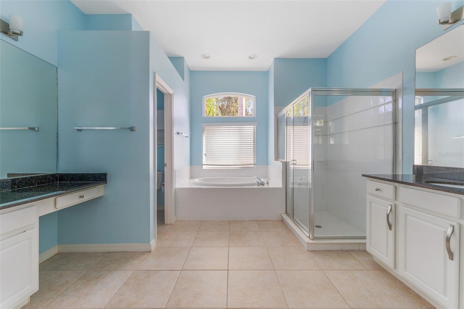 18108 DIAMOND COVE CT, TAMPA, FL, 33647