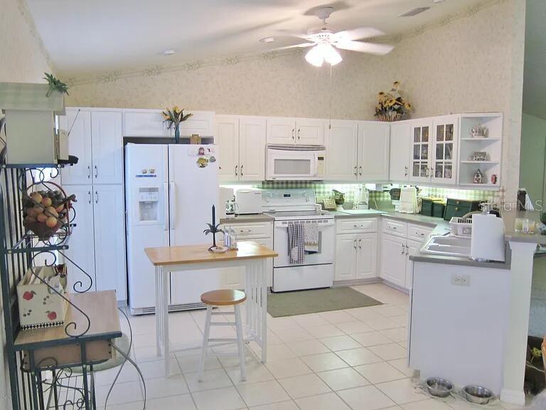 3281 NW 47TH CT, OCALA, FL, 34482