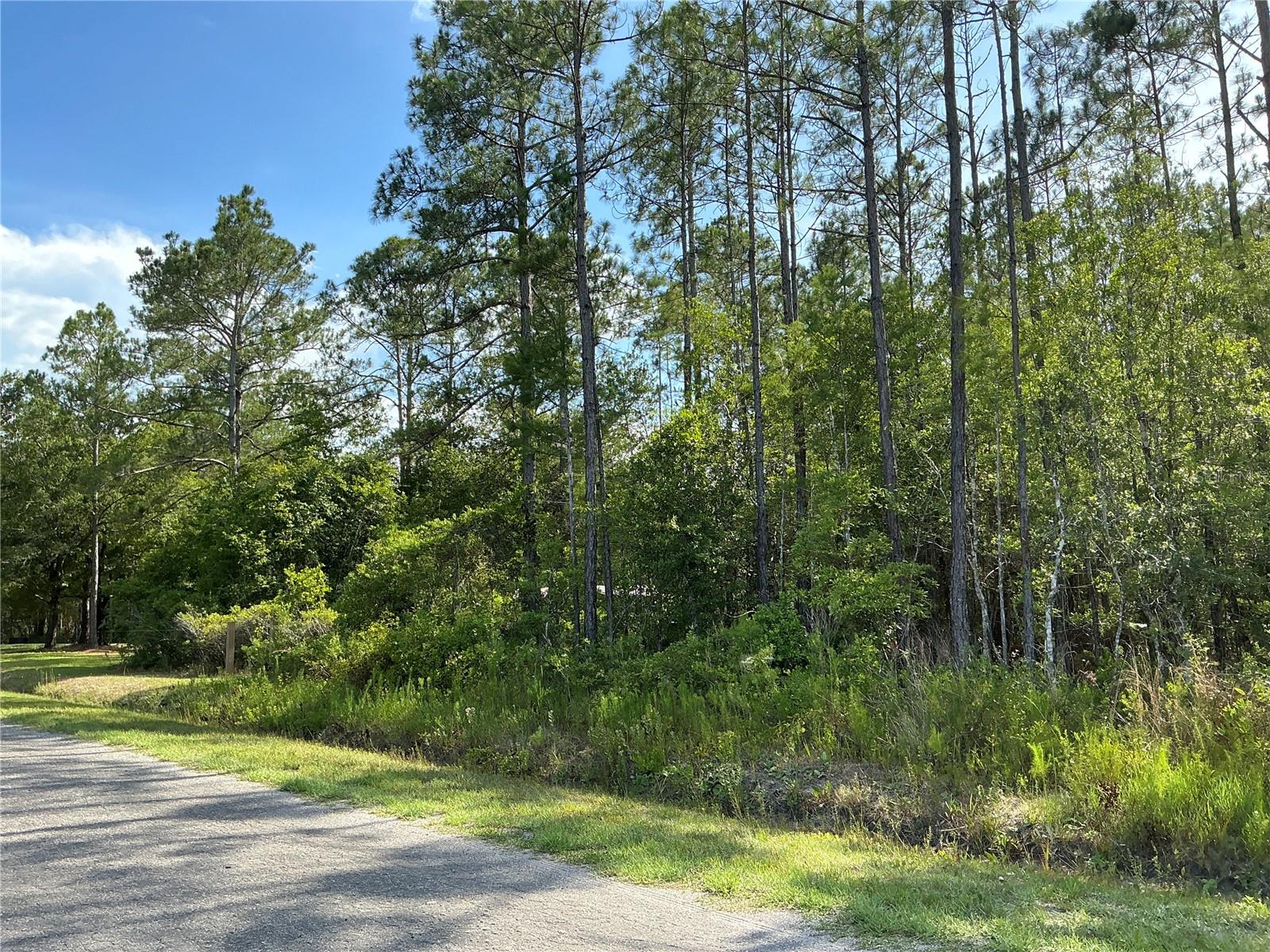 00 CROTTY AVE #1, HASTINGS, FL, 32145